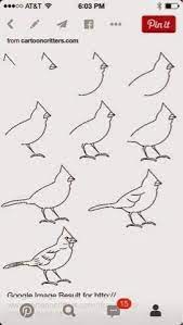 How To Draw A Cardinal Bird Drawings Art Drawings Drawings