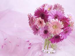 My Favorite Flowers Are Gerbera Daisies 3 Gerbere Composizioni Floreali Fiori