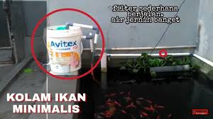 Hai, assalamualaikum dan selamat sejahtera. Penapis Air Untuk Kecil Kolam 2021