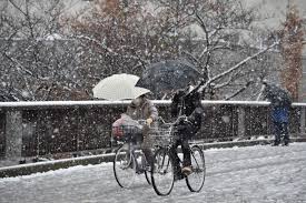 Tokyo Has November Snow For First Time In 54 Years Tokyo Snow New World