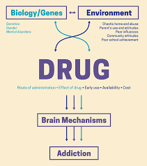 drug misuse and addiction national institute on drug abuse