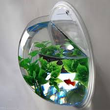 Like us, your betta fish can be psychologically effected by their environment and home, which can have both a positive or negative effect on your little friends stress an option around this would be to use a vase with a central core that would keep the plant separate from the water for your betta fish. Transparent Acrylic Round Wall Mounted Hanging Fish Bowl Aquarium Tank For Gold Fish And Beta Fish Plant Vase Home Decoration Pot 23cm Diameter Mimbarschool Com Ng