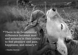 What Could Be More Empowering And Inspiring Than Living Life Deeply Connected To The World Around Us Learn More About Wild Rhy Animals Animals Beautiful Pets