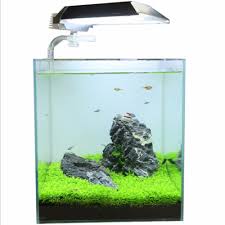 Kami akan memberikan daftar harga aquarium terbaru, namun harga yang tercantum disini belum tentu sama dengan harga di pasaran. Bibit Rumput Air Dekorasi Aquarium Landscape Ornament H0027 Jakartanotebook Com