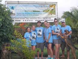 Quickly find animal shelter phone number, directions & services (portland, or). Vet Clinic Portland Or Broadway Veterinary Clinic