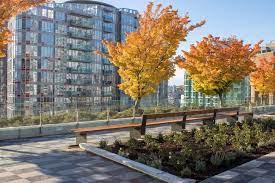 Visit library downtown location where this was clearly shot from. Vancouver Central Library S Long Awaited Rooftop Garden Now Open To Public The Star