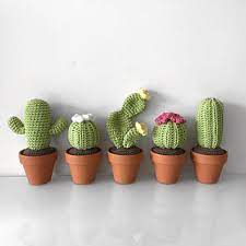 Guests at cactus can enjoy a à la carte breakfast. Ravelry Mini Desert Cactus Pattern By Zoe Bartley