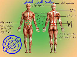 للحجامة اهلها القولون العصبي اعراضه واسبابه ومواضع Facebook