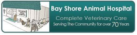 Whether you need a routine checkup, to make a critical care visit or anything in between, we are here for you and your pet. Bay Shore Animal Hospital Bay Shore Animal Hospital