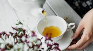 We did not find results for: Zapal Hrdla A Hltana 20 Domacich Liecivych Receptov Lepsiden Sk