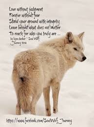 Love Without Judgment Forgive Without Fear Stand Your Ground With Integrity Leave Behind What Does Not Matter To Reach Fo Wolf Quotes Lone Wolf Quotes Wolf