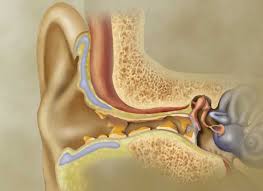 Please have your ears evaluated by a board certified otola. Ear Wax Removal With Microsuction