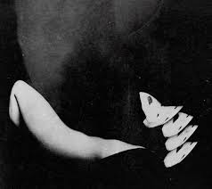 Hominis Canidae: Mal dos Trópicos - deumdentrodooutro (2024)...