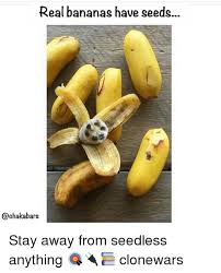 Real Bananas Have Seeds Stay Away From Seedless Anything Clonewars Meme On Me Me