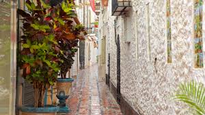 马贝拉Local Expert：查找马贝拉的旅游活动