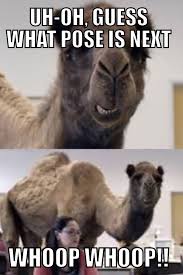 Uh Oh Guess What Pose Is Next Whoop Whoop Yoga Funny Bikram Yoga Humor Yoga Quotes