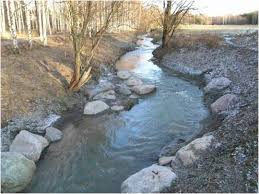 Check spelling or type a new query. Restoration Of Habitats