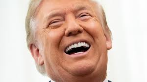 VFL: Danny Ryan praises Brodie McLaughlin, Frankston Dolphins' program