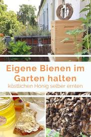 Naturfreunde, die schon immer einmal bienen im garten halten wollten, können ihren wunsch mithilfe einer bienenkiste erfüllen. Hobbyimker Werden Eigene Bienen Im Garten Halten Einfach Stephie In 2020 Bienen Bienenzucht Im Garten Imker
