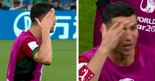 Portugal Federation 'to prove' Bruno's goal actually belonged to Ronaldo