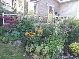 Rain Garden Rebate Program City Of Guelph