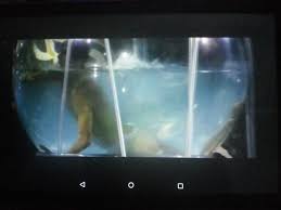 Paramount Pictures – Pop Goes the Darke Raven