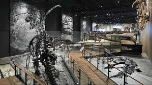 Raa Natural History Museum Of Utah At Rio Tinto Center Nature Museum Museum Exhibition Design History Museum