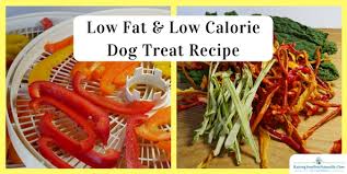 Have a pudgy dog you still want to give a treat to once in a while? Low Fat And Low Calorie Dog Treats Healthy Homemade Dog Treats Raising Your Pets Naturally With Tonya Wilhelm