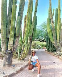 Buy or sell new and used items easily on facebook marketplace, locally or from businesses. Where To See Saguaro Cactus In Phoenix Hiking Spots Hotels And Attractions