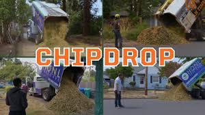 The more restrictions you have the more difficult it will be to match you with a contractor. So You Really Do Want A Chipdrop Youtube