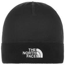 Listen to your favorite mp3 player while keeping warm. Surgent Fleece Beanie Hat By The North Face 26 95