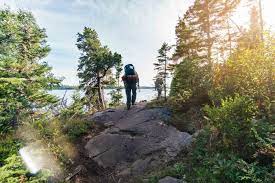 We did not find results for: Things To Do At Isle Royale National Park The Ultimate Pure Michigan Guide Michigan