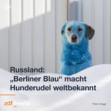 Sie streunten offenbar nahe einer ehemaligen selten dürfte das sprichwort »bekannt wie ein bunter hund« so gut gepasst haben wie in diesem fall: Zdf Heute Der Grossbrand Im Fluchtlingslager Moria Auf Facebook