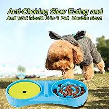 A cat's stomach is quite small, about the size of a ping pong ball, so when they eat too quickly, vomiting is often the result. Justpet Anti Wet Mouth Slow Drink Pet Water Bowl Anti Choke Slow Feeder Interactive Bloat Stop Dog Bowl 2 In 1 Pet Double Bowl For Dogs Cats Blue Dog Supp