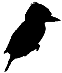 Kookaburra Veterinary Employment Veterinary Nurse Jobs