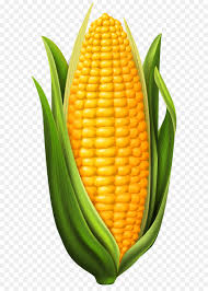 We did not find results for: Gambar Mewarnai Jagung