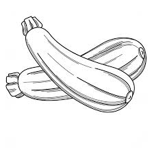 Empieza dibujando el contorno de la calabaza, tal y como lo ves en la imagen, lo que le dará la típica forma que todos conocemos. Calabaza Italiana Para Colorear