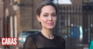 We did not find results for: Angelina Jolie Is Photographed With Bees On Her Face The News 24
