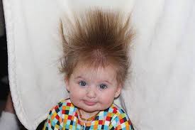 Er staan 138 crazy hair baby te koop op etsy, en gemiddeld kosten ze € 11,43. Creative Ideas Crazy Funny Baby Hair Style Facebook