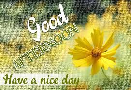 Don't wish away your days, hoping for better ones ahead. Pin By Vijaijta Vi On Good Afternoon In 2021 Good Afternoon Good Afternoon Quotes Good Day