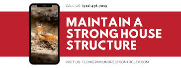 Monthly and quarterly termite and pest control maintenance programs are available for residential or commercial accounts! Flower Mound Pest Control Home Facebook