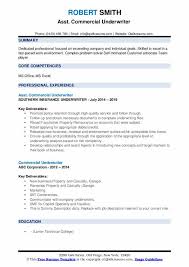 This declaration is made by. Commercial Underwriter Resume Samples Qwikresume
