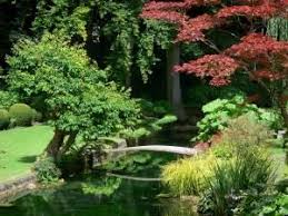 chateau de courances 49 quality high definition images japanese garden chateau plants