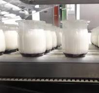 Yogurt Packaging Machines & Equipment | BW Packaging