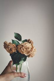 Flowers are a beautiful addition to any setting, but the colorful blooms tend to only last for a few days or a week. 5 Best Ways To Dry Roses So They Last Forever The Smell Of Roses The Smell Of Roses