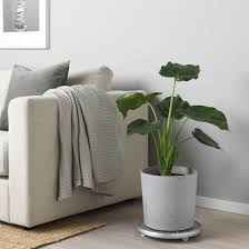 Boysenbar Plant Pot Indoor Outdoor Light Gray Ikea In 2020 Indoor Plant Pots Potted Plants Ikea