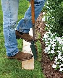 Pin On Gardening