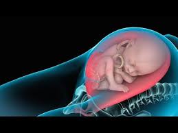 Cesarean Birth C Section Cesarean Delivery C Section Cesarean