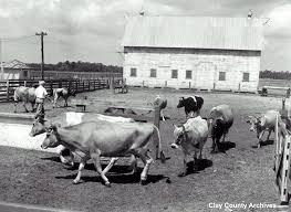 Image result for Aluminum 1990 Foremost Dairies