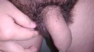 Mi pene peludo está aburrido
